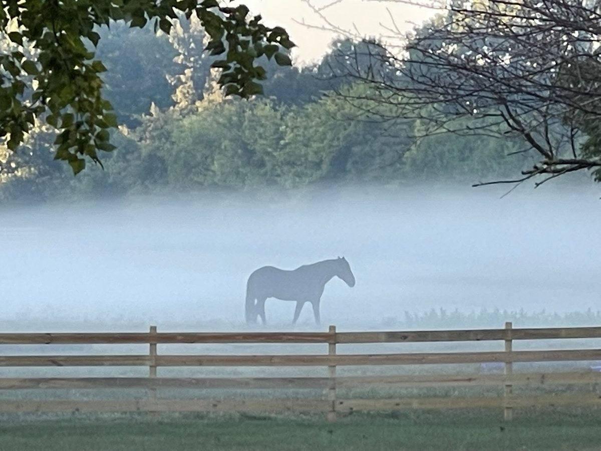 Entwood Farms photo 1