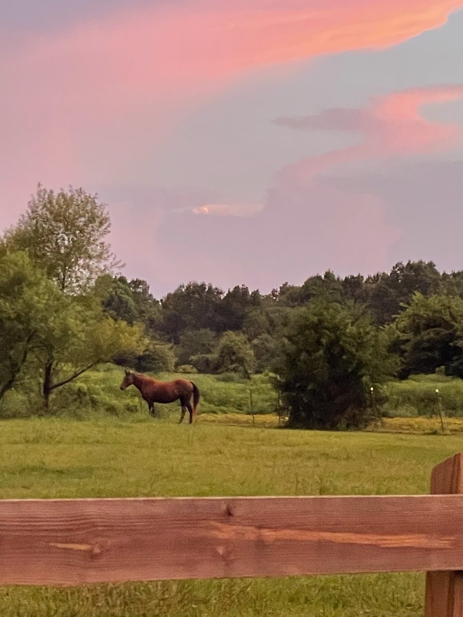 Entwood Farms photo 8