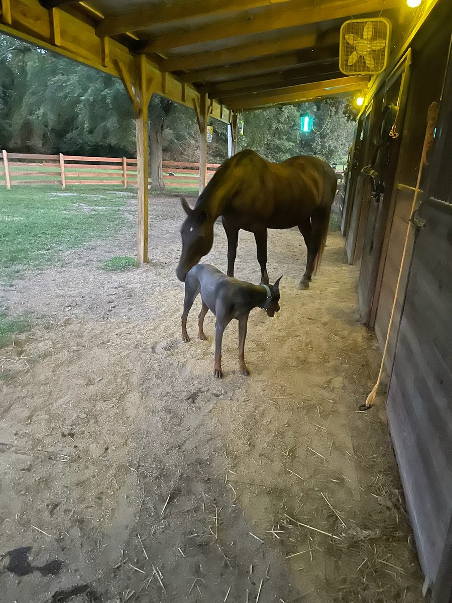 Entwood Farms photo 9