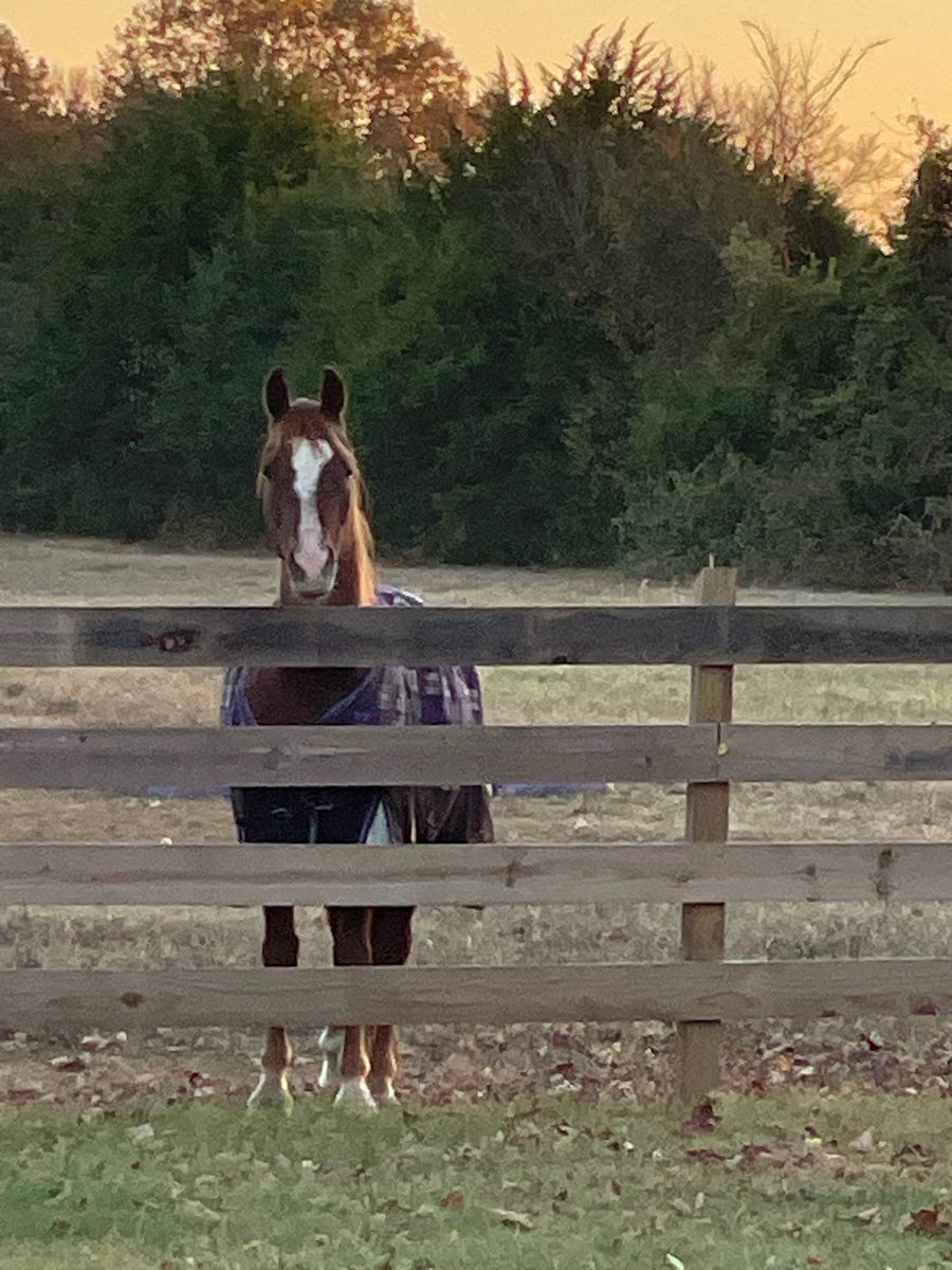 Entwood Farms photo 10