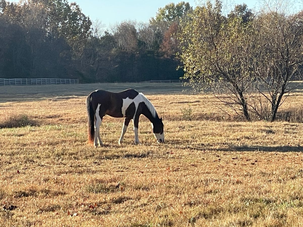 Entwood Farms photo 11