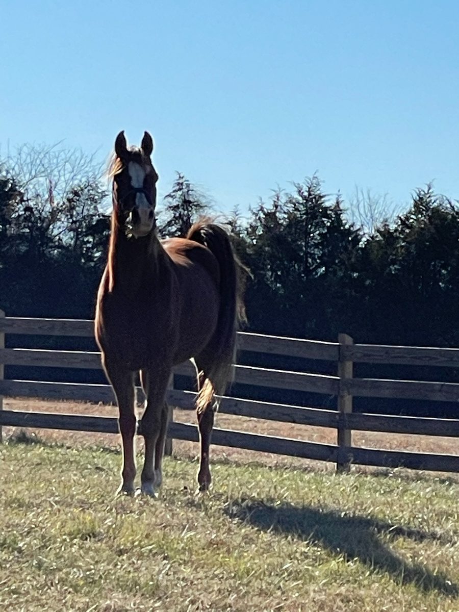 Entwood Farms photo 14