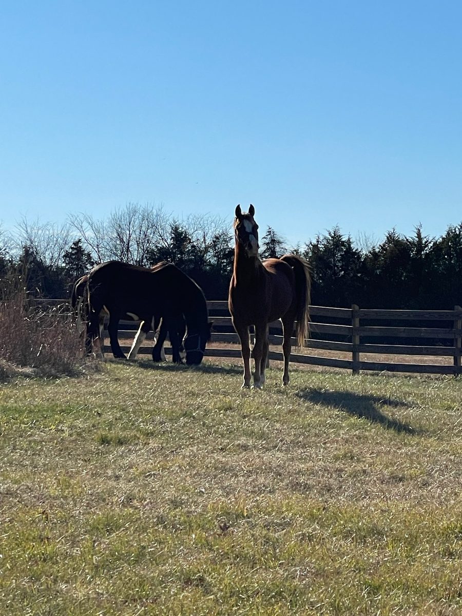 Entwood Farms photo 15