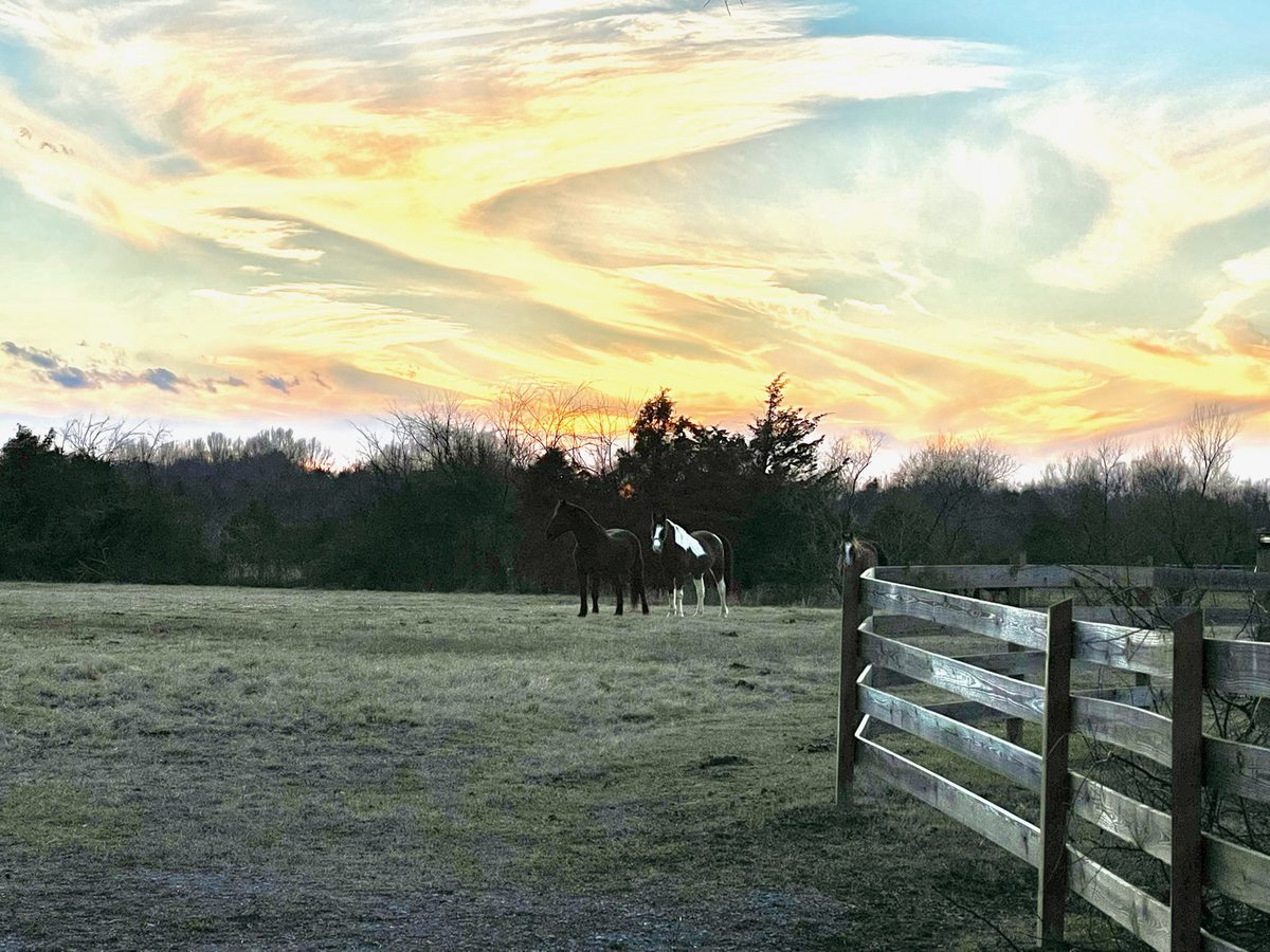 Entwood Farms photo 16
