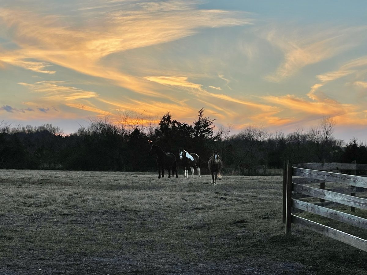 Entwood Farms photo 17
