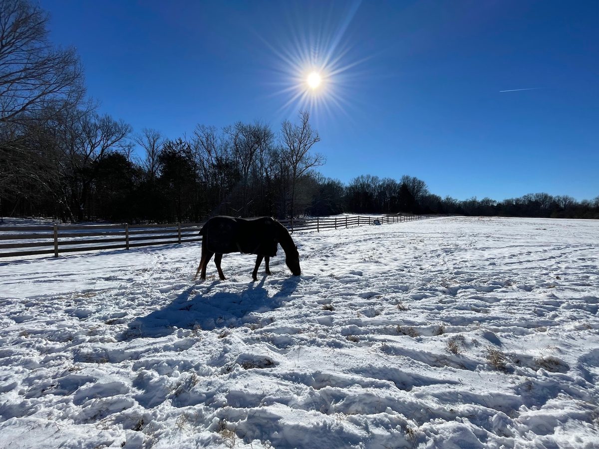 Entwood Farms photo 18