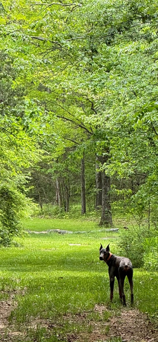 Entwood Farms photo 21