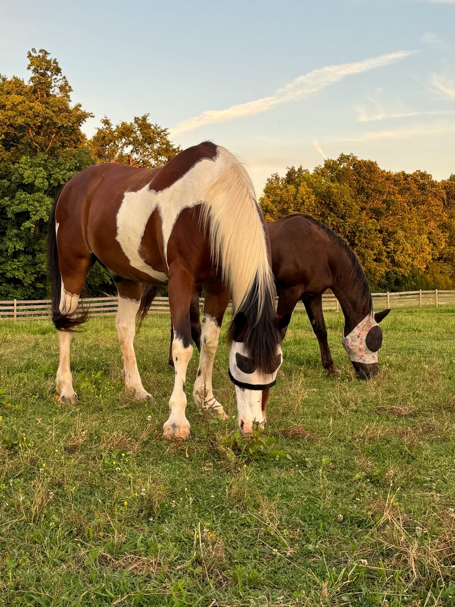 Entwood Farms photo 23