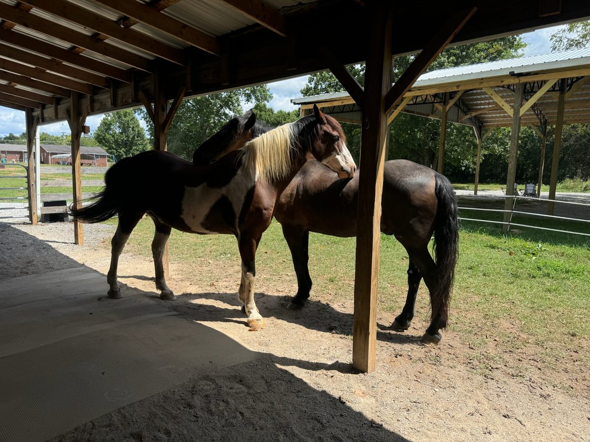 Entwood Farms photo 26