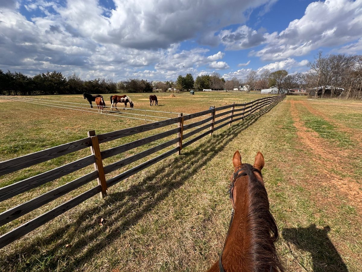Entwood Farms photo 28