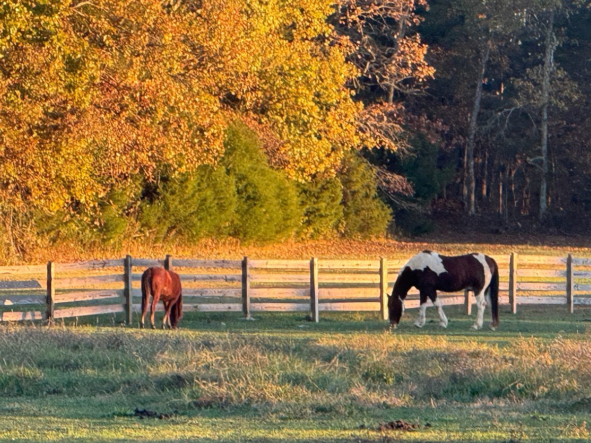 Entwood Farms photo 29