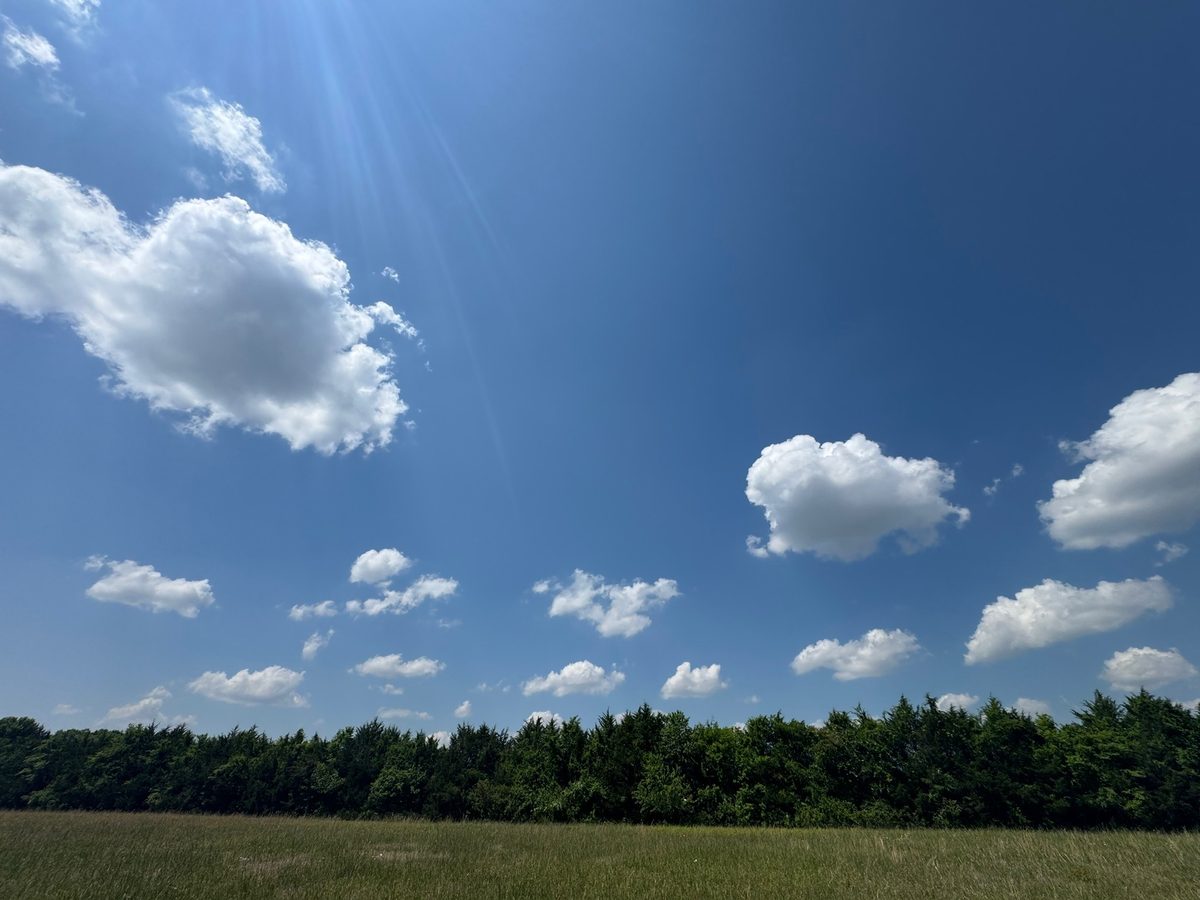 Entwood Farms photo 31
