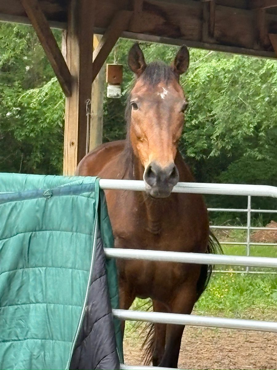 Entwood Farms photo 32