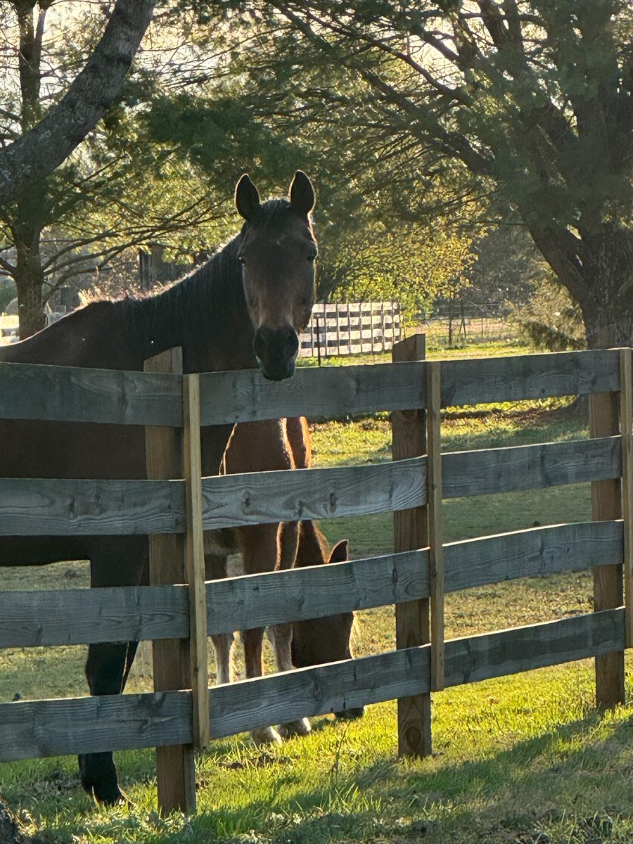 Entwood Farms photo 34
