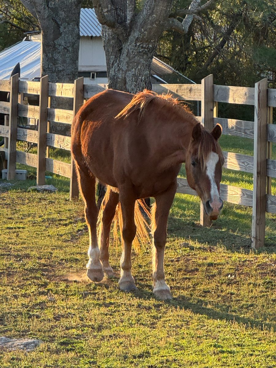 Entwood Farms photo 35