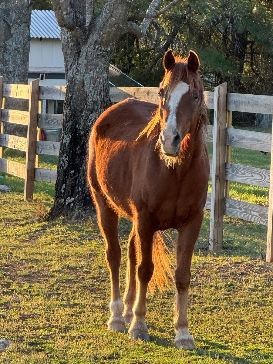 Entwood Farms photo 36