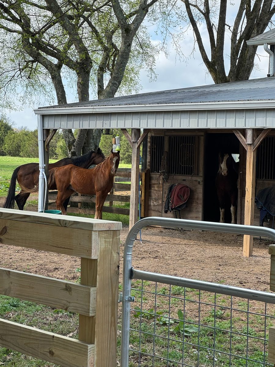 Entwood Farms photo 37