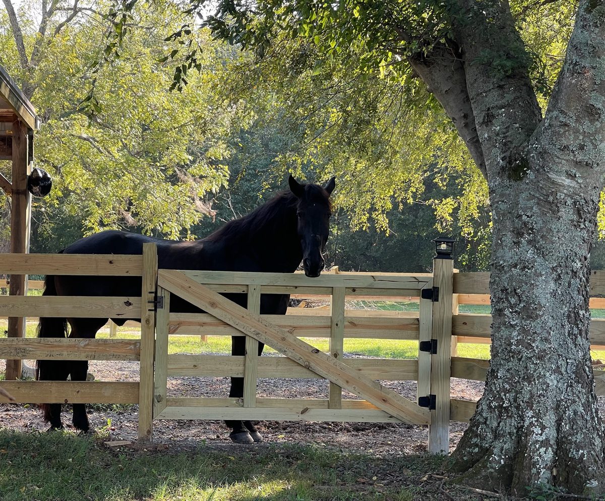 Entwood Farms photo 45