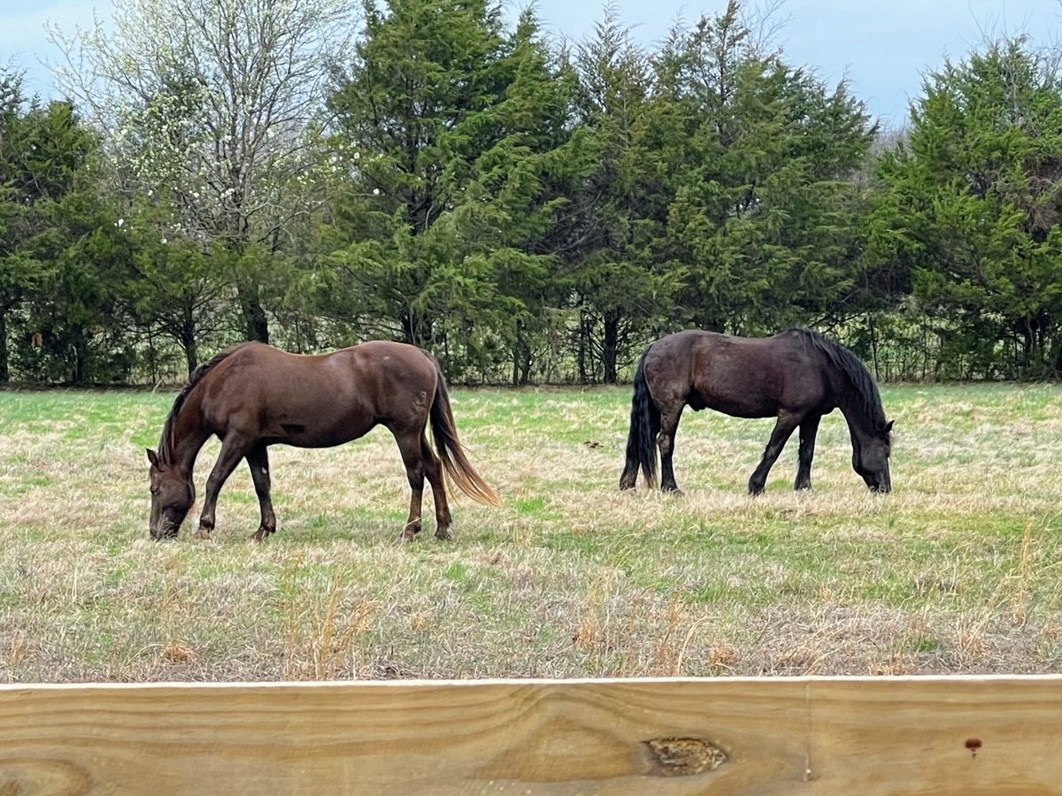 Entwood Farms photo 48