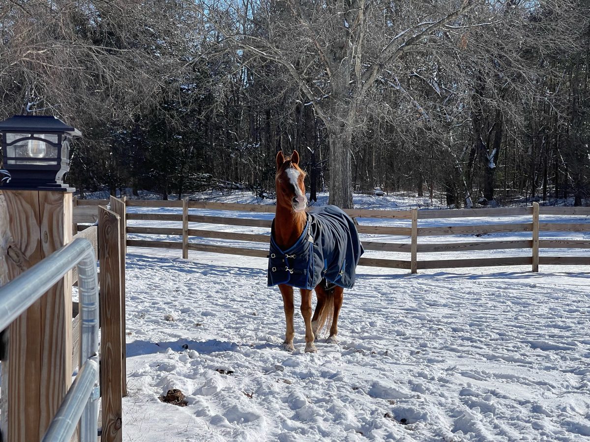 Entwood Farms photo 49