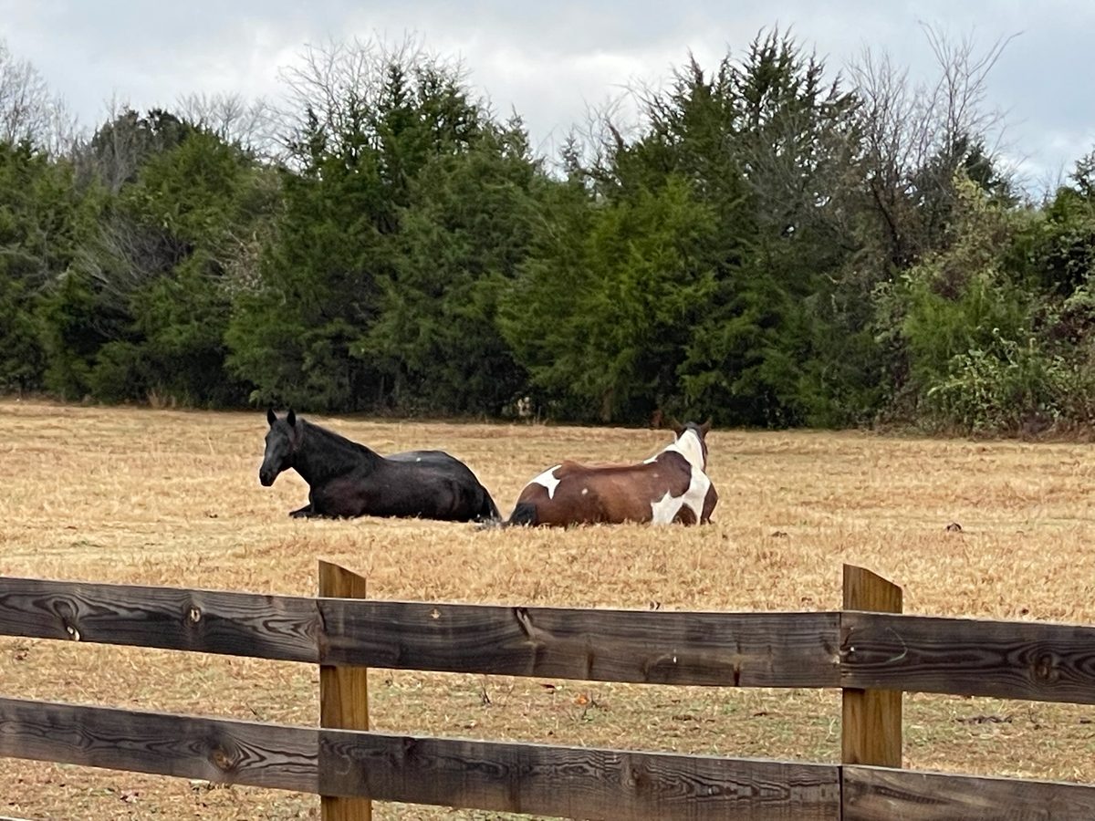 Entwood Farms photo 50