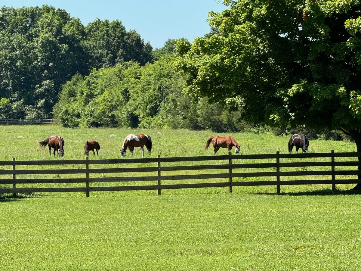 Entwood Farms photo 51