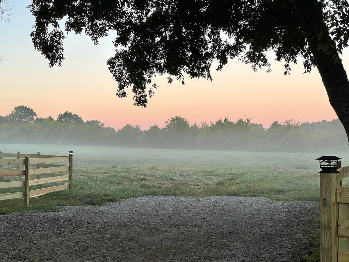 Entwood Farms photo 55
