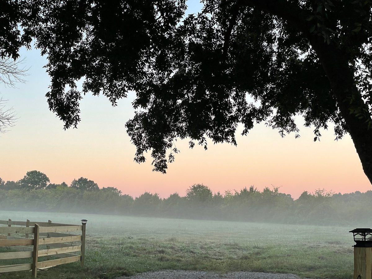 Entwood Farms photo 56