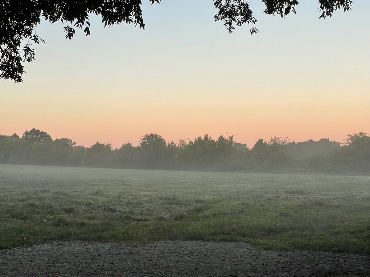 Entwood Farms photo 57