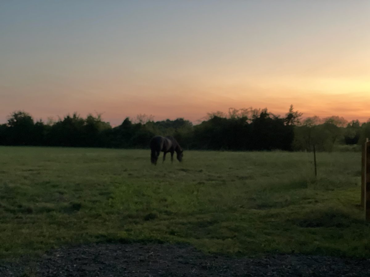 Entwood Farms photo 59