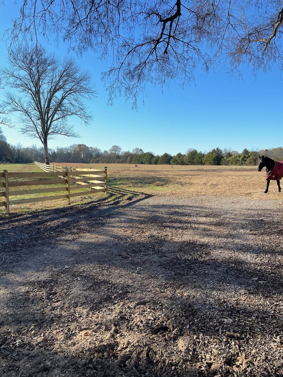 Entwood Farms photo 60