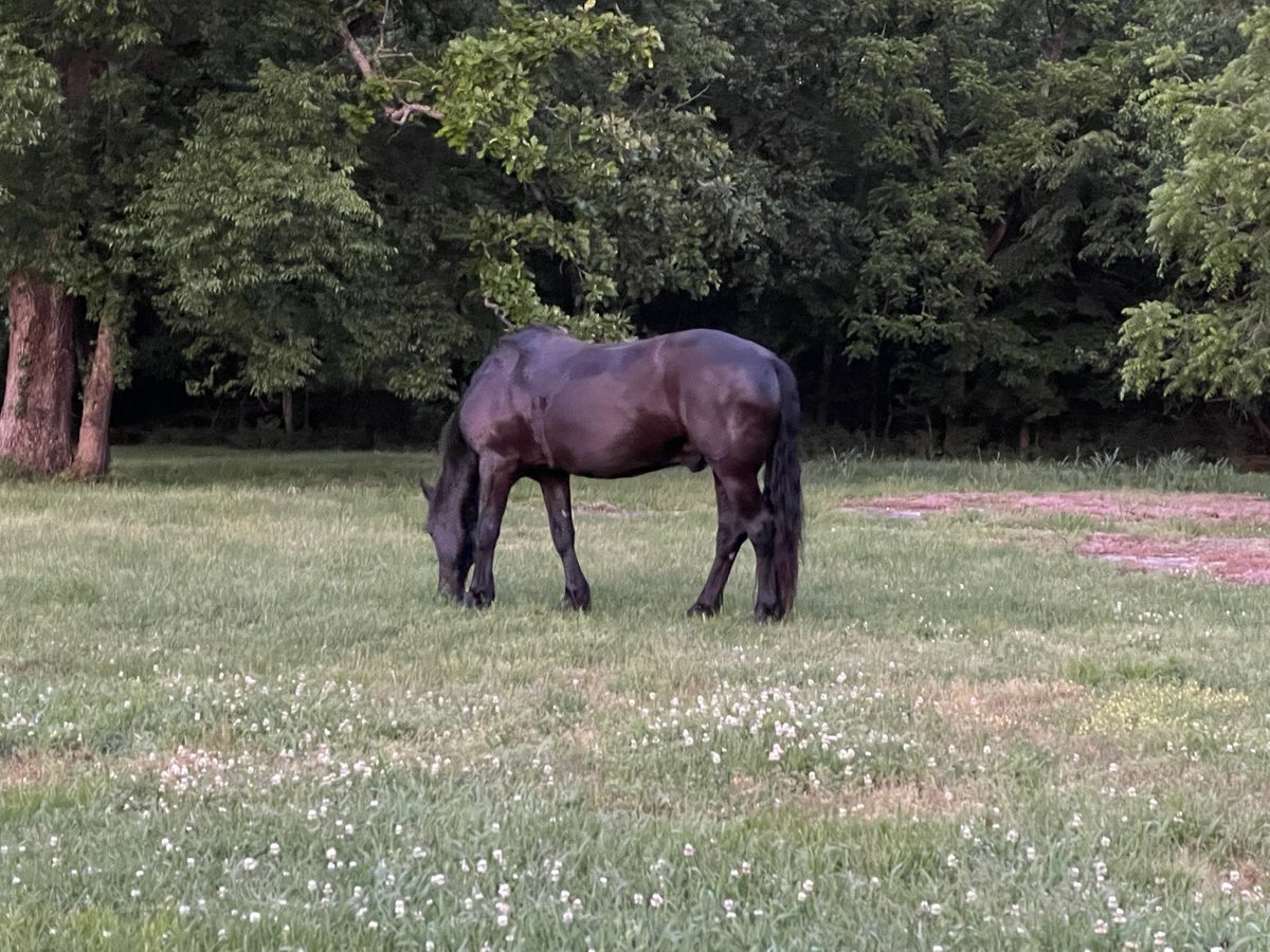 Entwood Farms photo 64